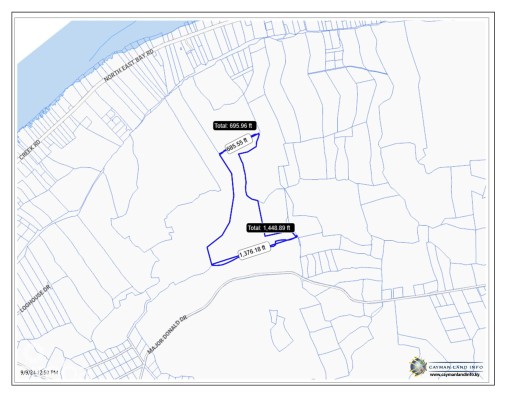 20 Acres Brac Bluff Land