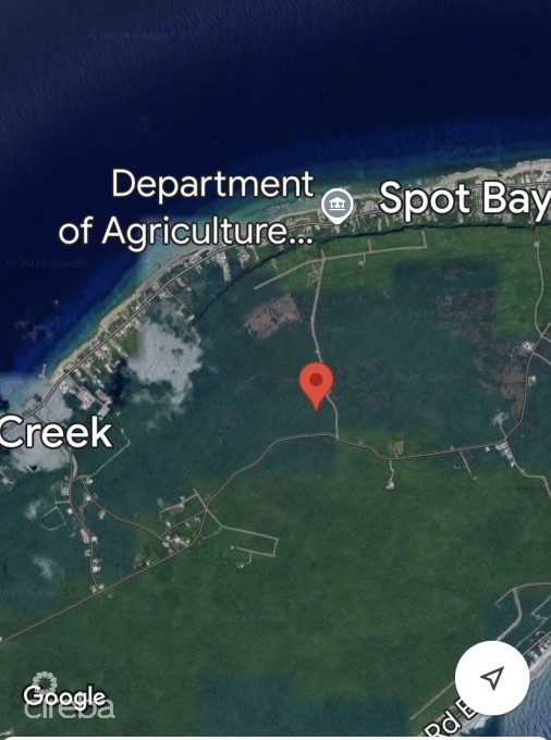 20 Acres Brac Bluff Land