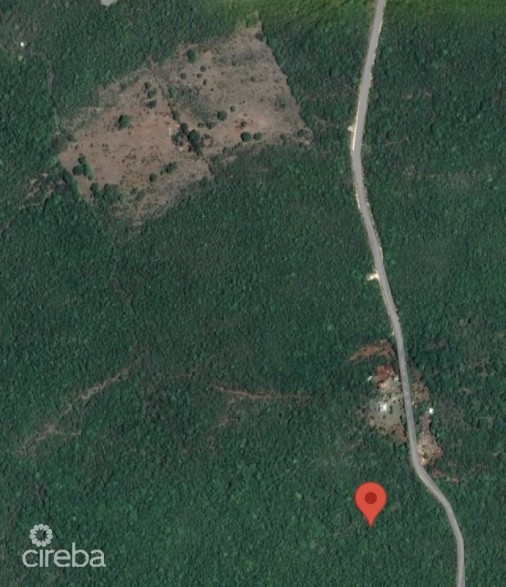 20 Acres Brac Bluff Land