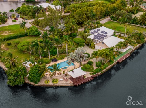 Timeless Palm Island Circle Estate Timeless Palm Island Circle Estate