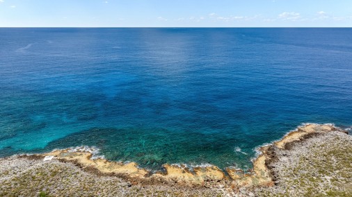 Savannah Oceanfront 3 Acre Estate