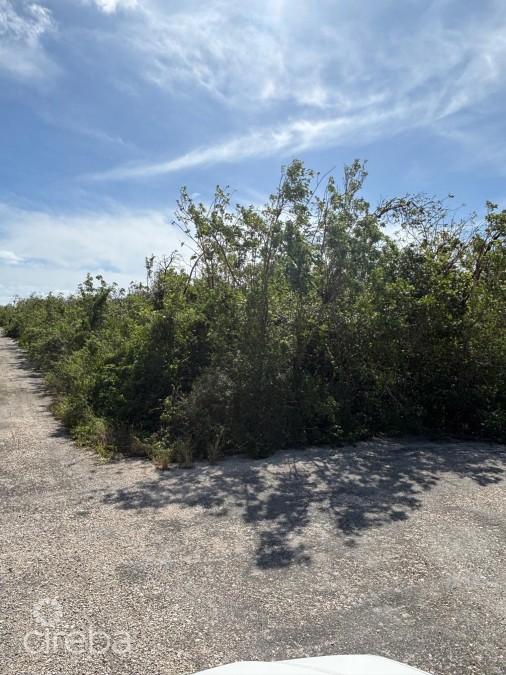 Little Cayman East 0.3017 Acres