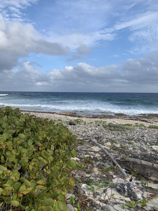South Side Ocean Front Land