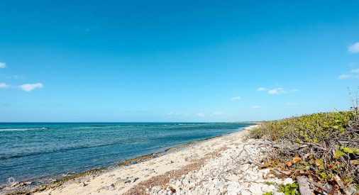 Oceanfront Land Little Cayman 
