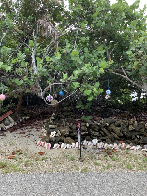 Soon Come - South Side East Ocean Front Land