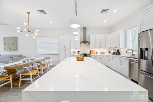 Boggy Sands Club Turtle 2