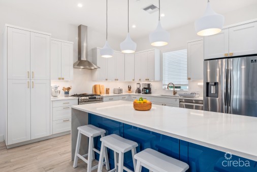 Boggy Sands Club Turtle 2