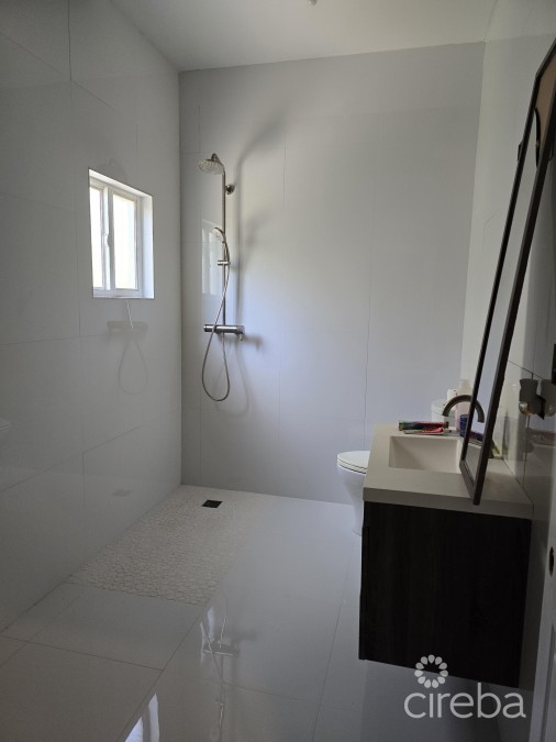 Pedro Home Fixer Upper - Motivated Seller