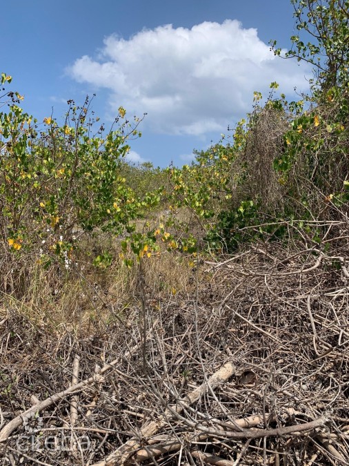 Northside Ocean Front And Inland Property