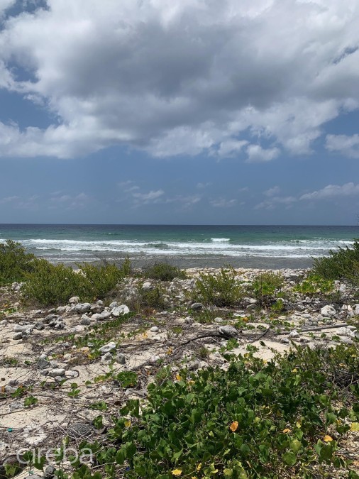 Northside Ocean Front And Inland Property