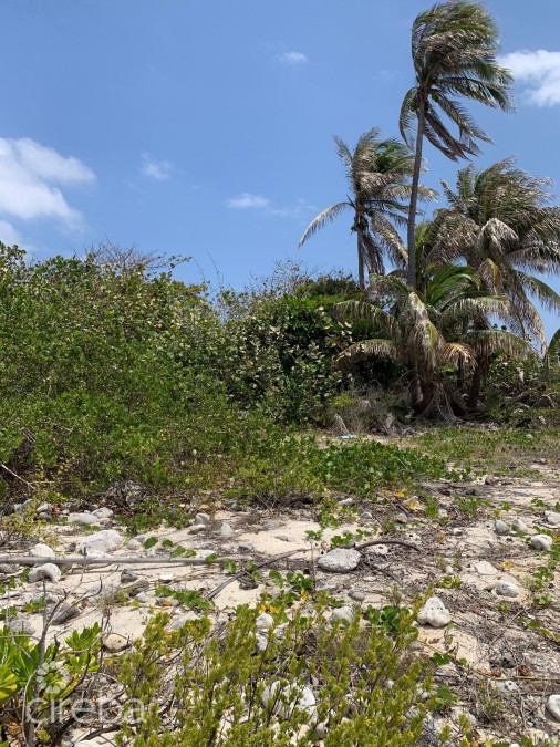 Northside Ocean Front And Inland Property