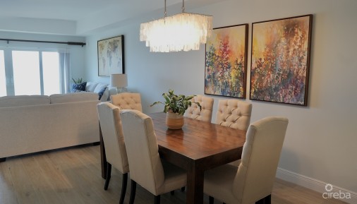 Windsor Village Apt. 30