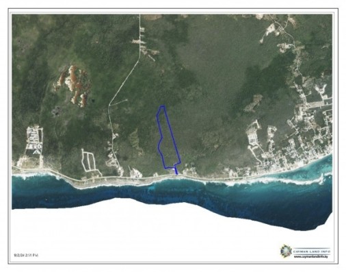 The Blow Holes Lot #1