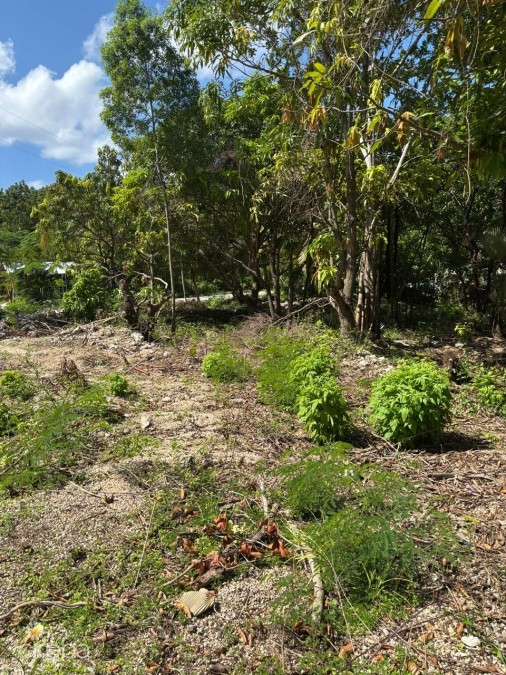 Exceptional Corner Lot In Prime Cayman Brac Location - Ready To Build