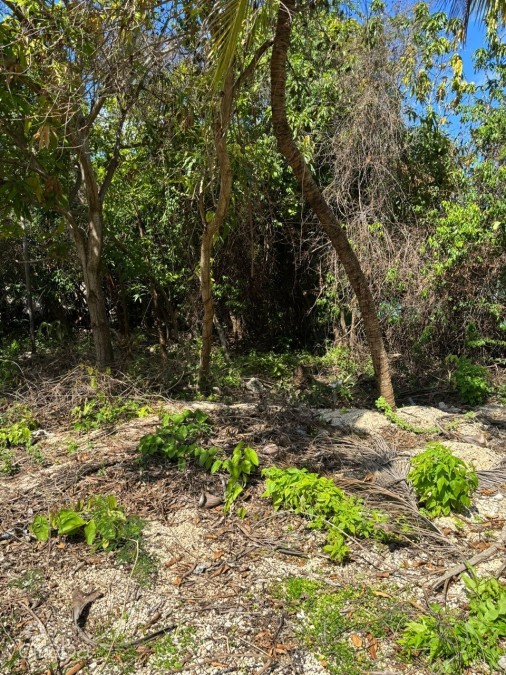 Exceptional Corner Lot In Prime Cayman Brac Location - Ready To Build