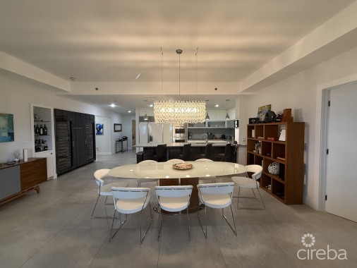 Ritz - Carlton Private Residence #501