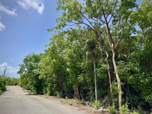 Beach Bay - Oversized Lot