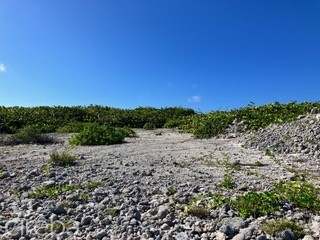 Pre-constructed Seaglass Villa Oceanfront Land