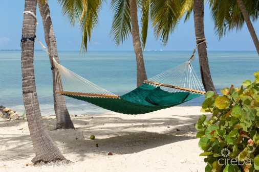 Reduced | Go Bragh, Kaibo Beachfront Home With Dock And Pool