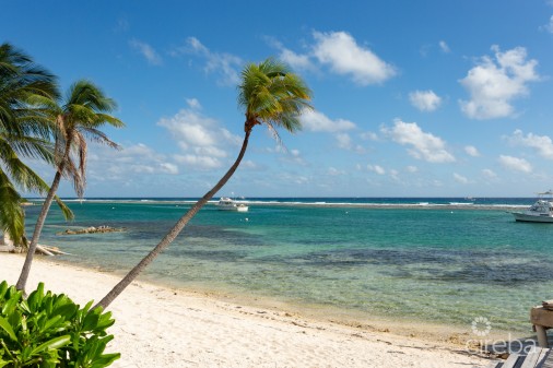 Carib Sands, Beachfront Living Cayman Brac