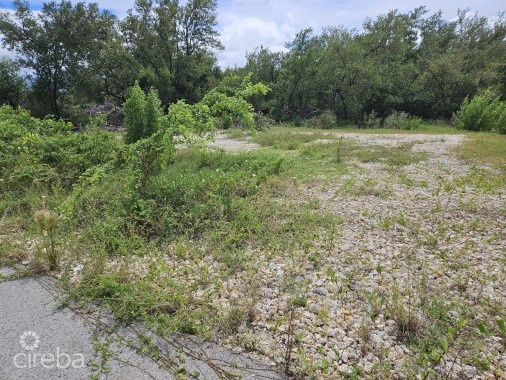 Stepping Stones House Lot