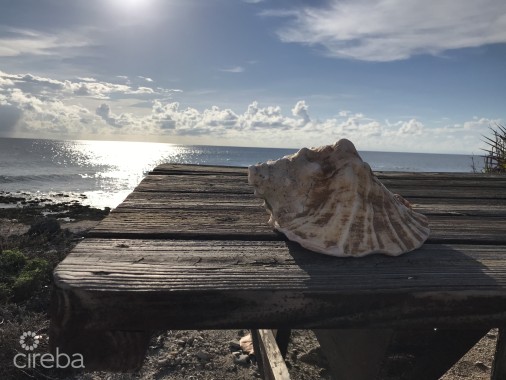 Little Cayman Lot Near Point Of Sands