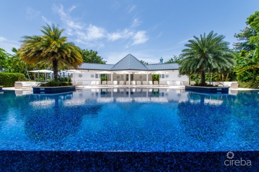 Stone Island Phase Ii - Unit 1103 Assignment