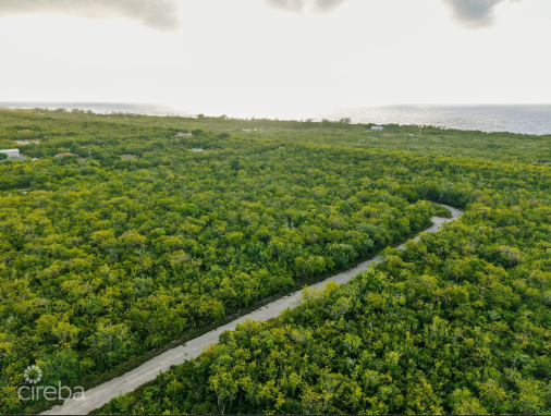 Brac House Lot 0.2345