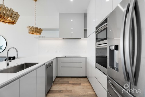 Aura Penthouse #404