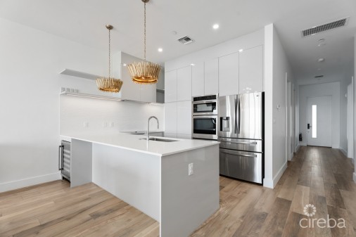 Aura Penthouse #404