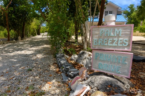 Palm Breezes