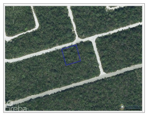 Cayman Brac Lot On Bluff At Selworthy Groves