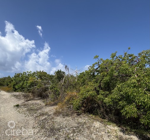 Little Cayman Lot Close To Point Of Sand