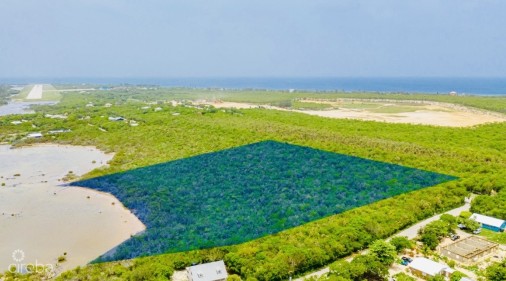Alexander Grove Subdivision - Cayman Brac - Pond Lot 4