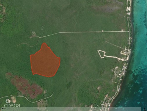 78 Acres - Colliers