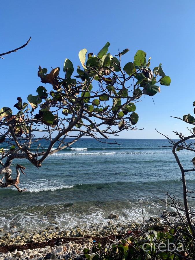 OCEANFRONT SOUTH FACING 0.85 OF AN ACRE WEST END LITTLE CAYMAN LAND