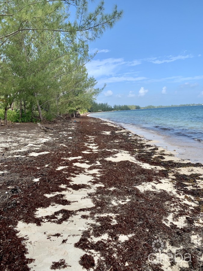 FRANK SOUND BEACHFRONT LAND