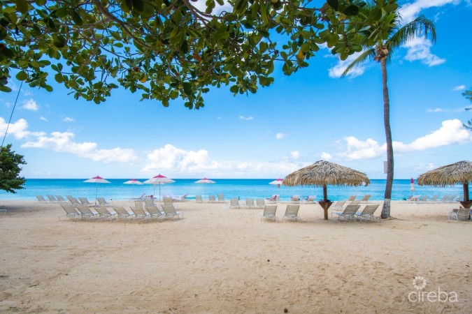 CARIBBEAN CLUB