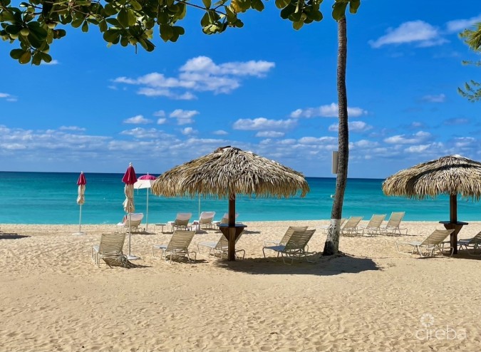 CARIBBEAN CLUB