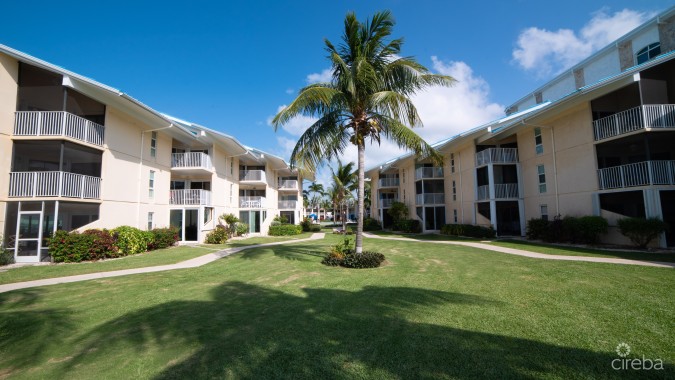 CAYMAN REEF RESORT
