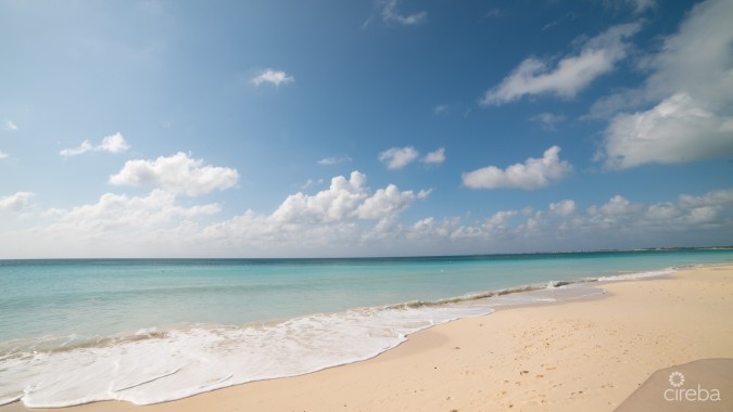 CAYMAN REEF RESORT