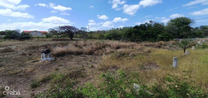 MERMAID SPRINGS LAND GUN BAY EAST END