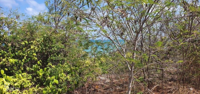 MERMAID SPRINGS LAND GUN BAY EAST END