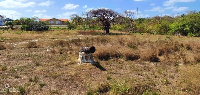 MERMAID SPRINGS LAND GUN BAY EAST END