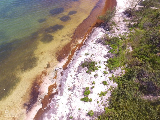MERMAID SPRINGS LAND GUN BAY EAST END