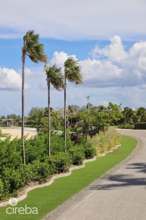 DIAMOND'S EDGE WATERFRONT ESTATE ACERAGE