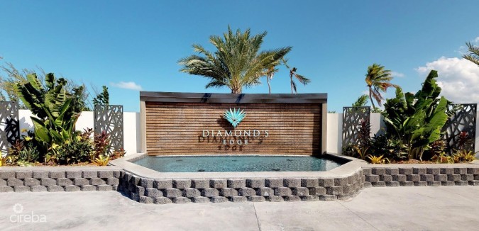 DIAMOND'S EDGE WATERFRONT ESTATE ACERAGE