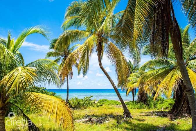 CAYMAN BRAC SELWORTHY GROVE LAND PARCEL