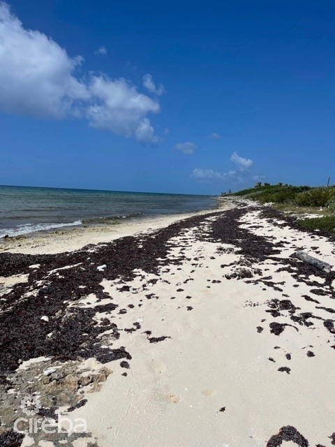 LITTLE CAYMAN SANDY BEACHFRONT OWNER FINANCED LOT