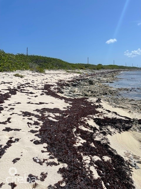 LITTLE CAYMAN SANDY BEACHFRONT OWNER FINANCED LOT